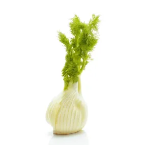 Certified Organic Fennel (each)