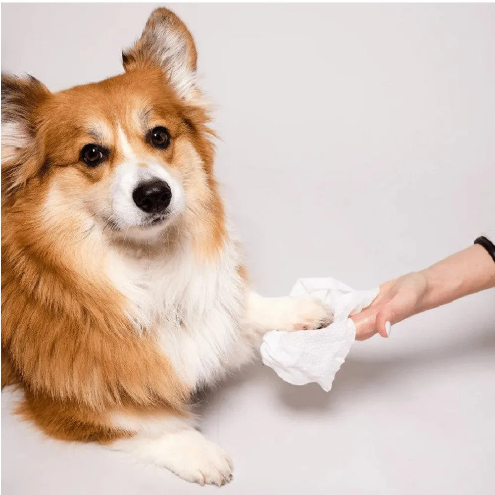 Coat Grooming Wipes for Dogs