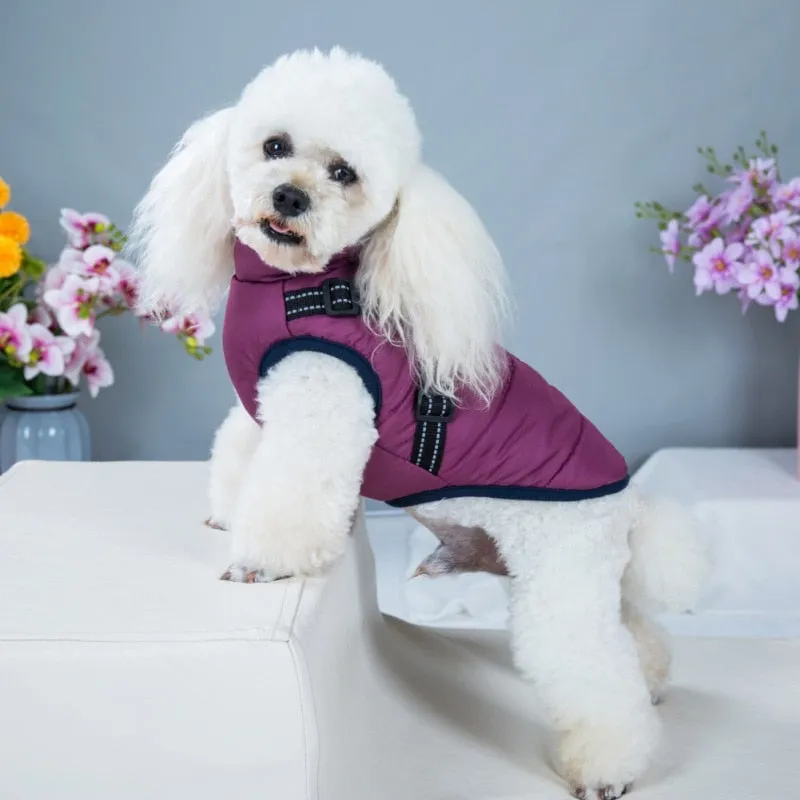 Funki Buys | Dog Coats | Dog Jacket | Pet Harness | Reflective