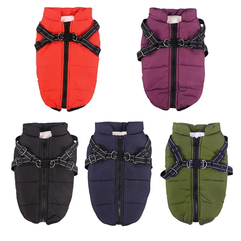 Funki Buys | Dog Jackets | Pet Harness | Padded Walking Vest