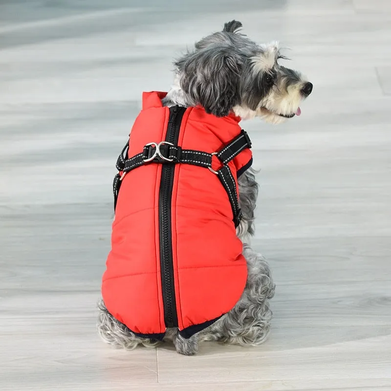 Funki Buys | Dog Jackets | Pet Harness | Padded Walking Vest