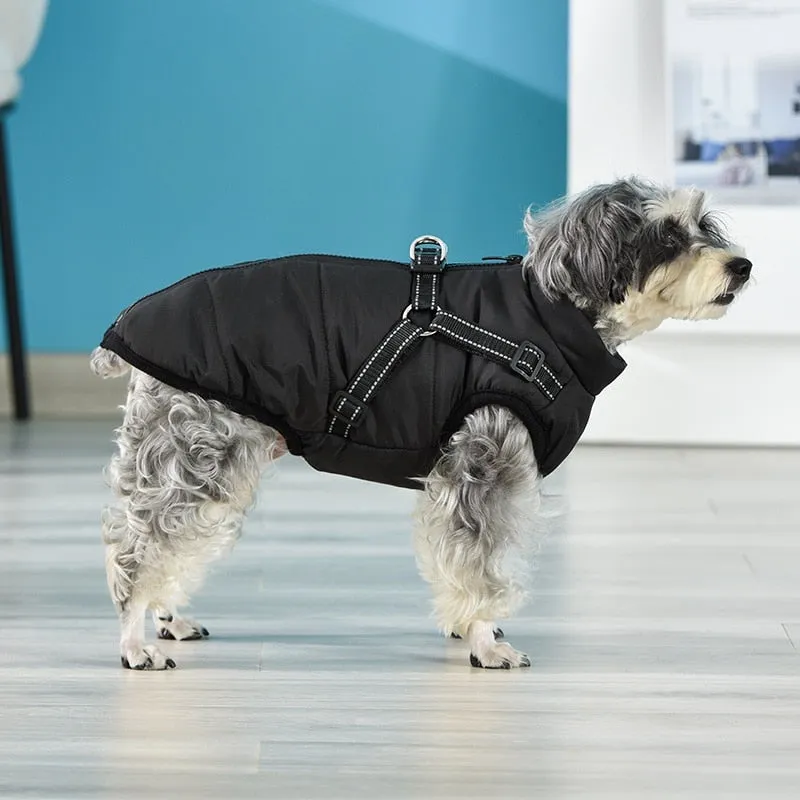 Funki Buys | Dog Jackets | Pet Harness | Padded Walking Vest