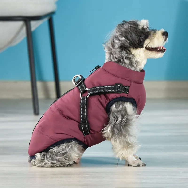 Funki Buys | Dog Jackets | Pet Harness | Padded Walking Vest