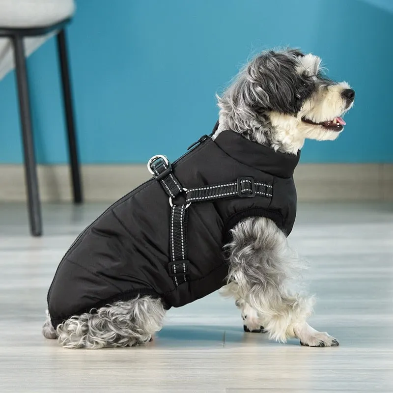 Funki Buys | Dog Jackets | Pet Harness | Padded Walking Vest