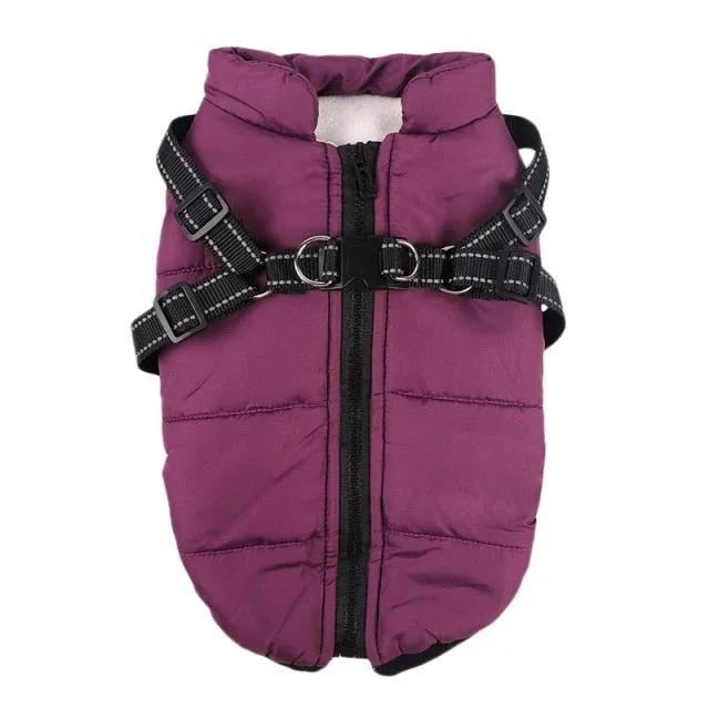 Funki Buys | Dog Jackets | Pet Harness | Padded Walking Vest