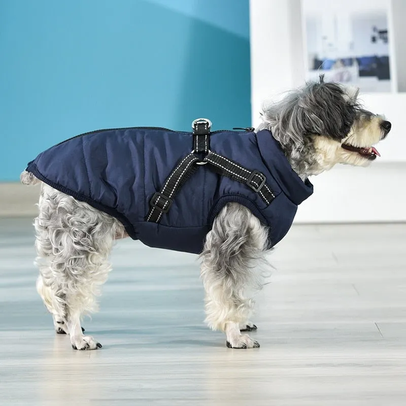 Funki Buys | Dog Jackets | Pet Harness | Padded Walking Vest