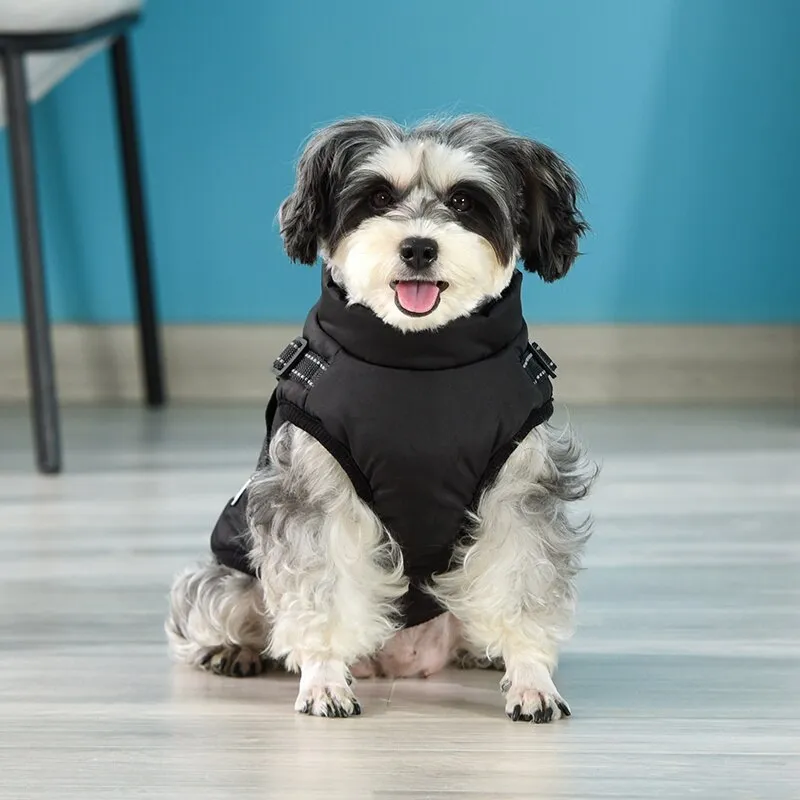 Funki Buys | Dog Jackets | Pet Harness | Padded Walking Vest