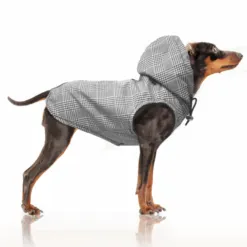 Milk & Pepper Gregor Carreaux Raincoat