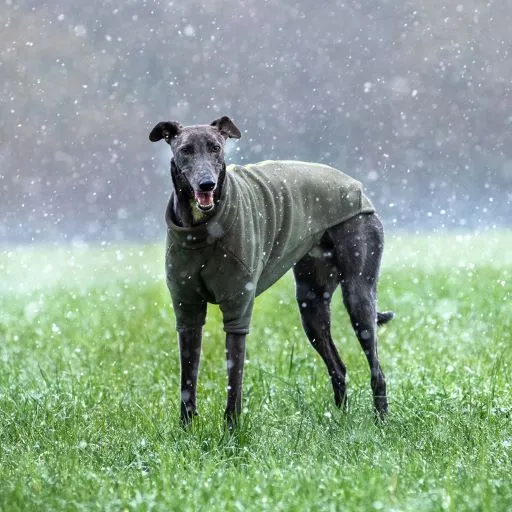 Stix Waterproof Fleece Coats for Whippets Four Legged